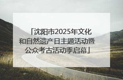 沈阳市2025年文化和自然遗产日主题活动暨公众考古活动季启幕