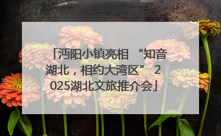 沔阳小镇亮相 “知音湖北，相约大湾区” 2025湖北文旅推介会