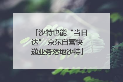 沙特也能“当日达” 京东自营快递业务落地沙特