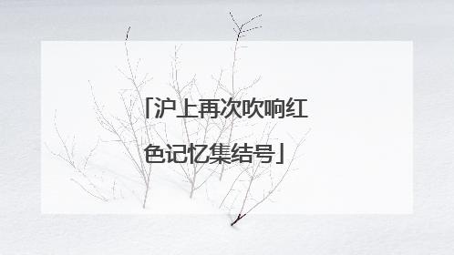 沪上再次吹响红色记忆集结号
