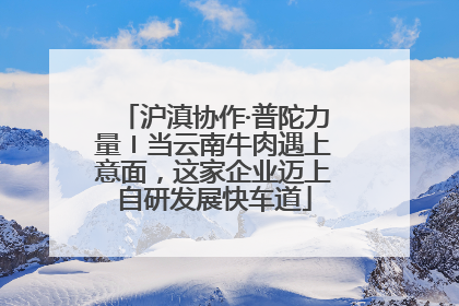 沪滇协作·普陀力量〡当云南牛肉遇上意面，这家企业迈上自研发展快车道