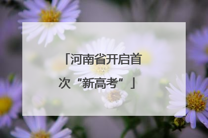 河南省开启首次“新高考”