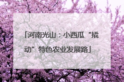河南光山：小西瓜“撬动”特色农业发展路