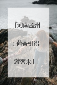 河南孟州：荷香引得游客来
