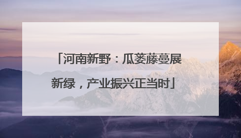 河南新野：瓜蒌藤蔓展新绿，产业振兴正当时