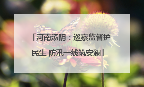 河南汤阴：巡察监督护民生 防汛一线筑安澜