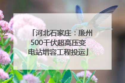 河北石家庄：廉州500千伏超高压变电站增容工程投运