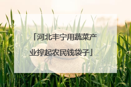 河北丰宁用蔬菜产业撑起农民钱袋子