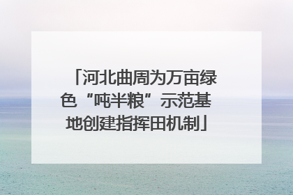 河北曲周为万亩绿色“吨半粮”示范基地创建指挥田机制