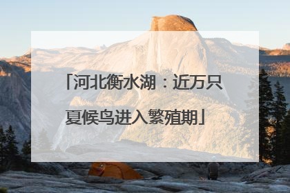 河北衡水湖：近万只夏候鸟进入繁殖期