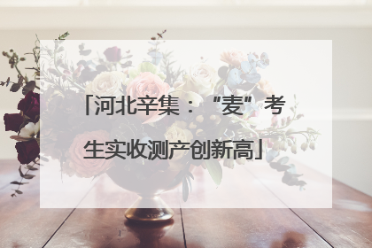 河北辛集：“麦”考生实收测产创新高