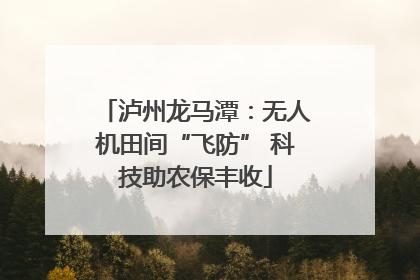 泸州龙马潭：无人机田间“飞防” 科技助农保丰收