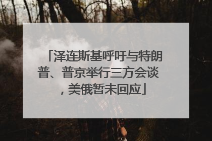 泽连斯基呼吁与特朗普、普京举行三方会谈，美俄暂未回应