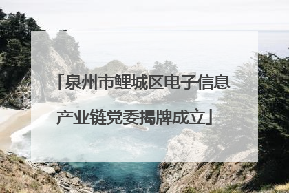 泉州市鲤城区电子信息产业链党委揭牌成立