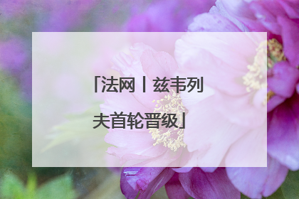 法网丨兹韦列夫首轮晋级