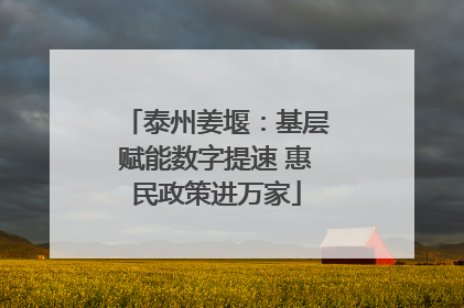 泰州姜堰：基层赋能数字提速 惠民政策进万家