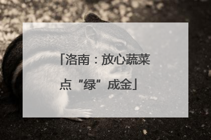 洛南：放心蔬菜点“绿”成金