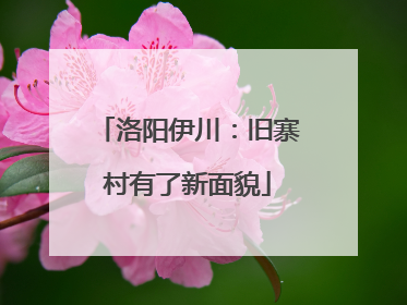 洛阳伊川：旧寨村有了新面貌
