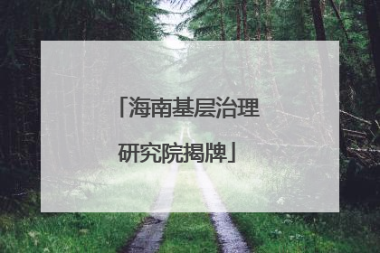海南基层治理研究院揭牌