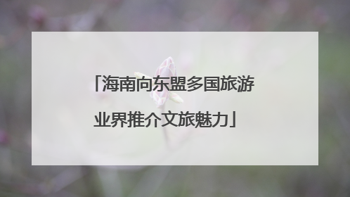 海南向东盟多国旅游业界推介文旅魅力