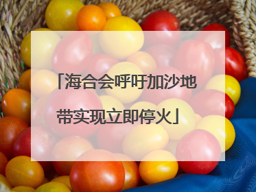 海合会呼吁加沙地带实现立即停火