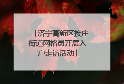 济宁高新区接庄街道网格员开展入户走访活动