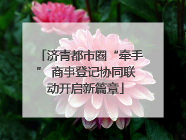 济青都市圈“牵手” 商事登记协同联动开启新篇章