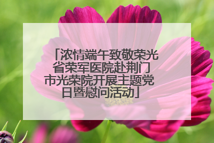 浓情端午致敬荣光 省荣军医院赴荆门市光荣院开展主题党日暨慰问活动