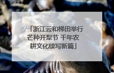 浙江云和梯田举行芒种开犁节 千年农耕文化续写新篇