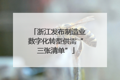 浙江发布制造业数字化转型供需“三张清单”