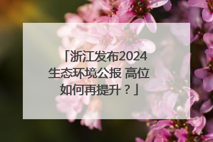 浙江发布2024生态环境公报 高位如何再提升？