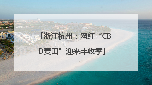 浙江杭州：网红“CBD麦田”迎来丰收季