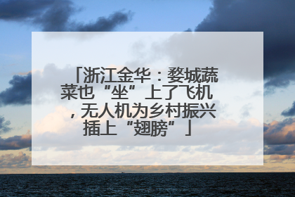 浙江金华：婺城蔬菜也“坐”上了飞机，无人机为乡村振兴插上“翅膀”