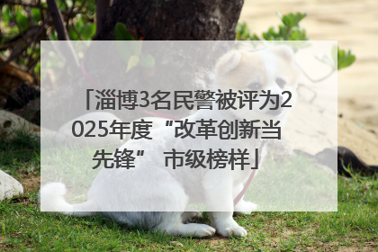 淄博3名民警被评为2025年度“改革创新当先锋” 市级榜样