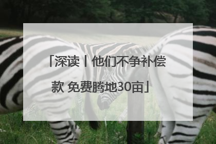 深读丨他们不争补偿款 免费腾地30亩