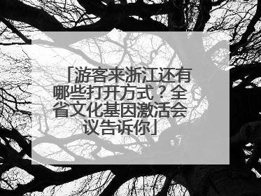 游客来浙江还有哪些打开方式？全省文化基因激活会议告诉你