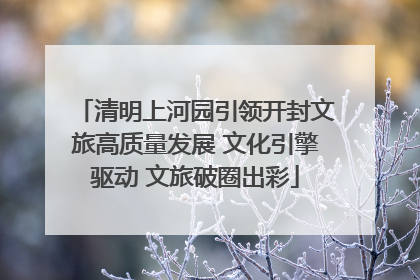 清明上河园引领开封文旅高质量发展 文化引擎驱动 文旅破圈出彩