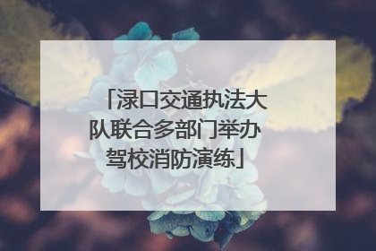 渌口交通执法大队联合多部门举办驾校消防演练