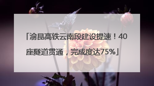 渝昆高铁云南段建设提速！40座隧道贯通，完成度达75%