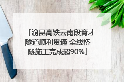 渝昆高铁云南段育才隧道顺利贯通 全线桥隧施工完成超90%