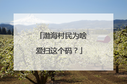 渤海村民为啥爱扫这个码？