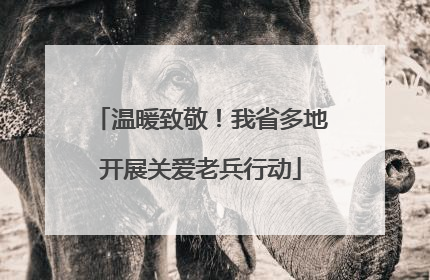 温暖致敬！我省多地开展关爱老兵行动