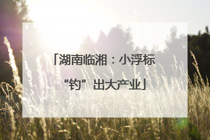 湖南临湘：小浮标“钓”出大产业