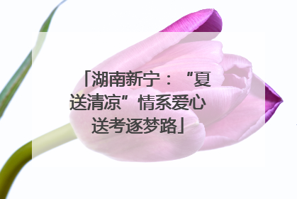 湖南新宁：“夏送清凉”情系爱心送考逐梦路