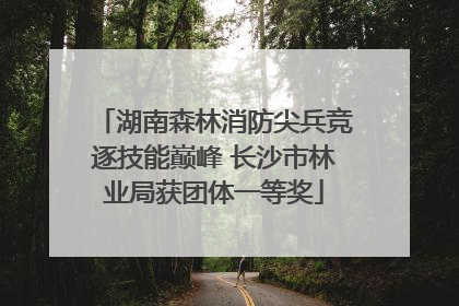 湖南森林消防尖兵竞逐技能巅峰 长沙市林业局获团体一等奖