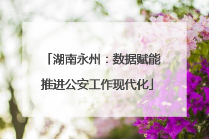 湖南永州：数据赋能推进公安工作现代化
