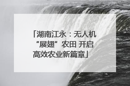 湖南江永：无人机“展翅”农田 开启高效农业新篇章