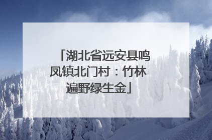 湖北省远安县鸣凤镇北门村：竹林遍野绿生金