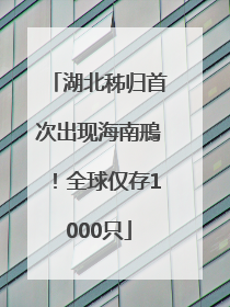 湖北秭归首次出现海南鳽！全球仅存1000只