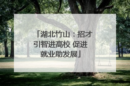 湖北竹山：招才引智进高校 促进就业助发展